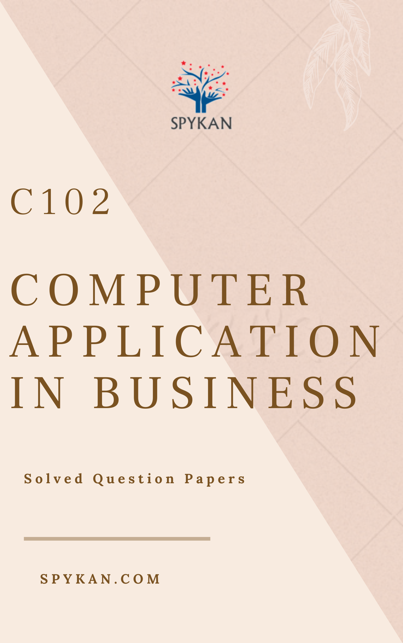 COMPUTER APPLICATIONS IN BUSINESS - C102 - Solved Question Paper - B ...